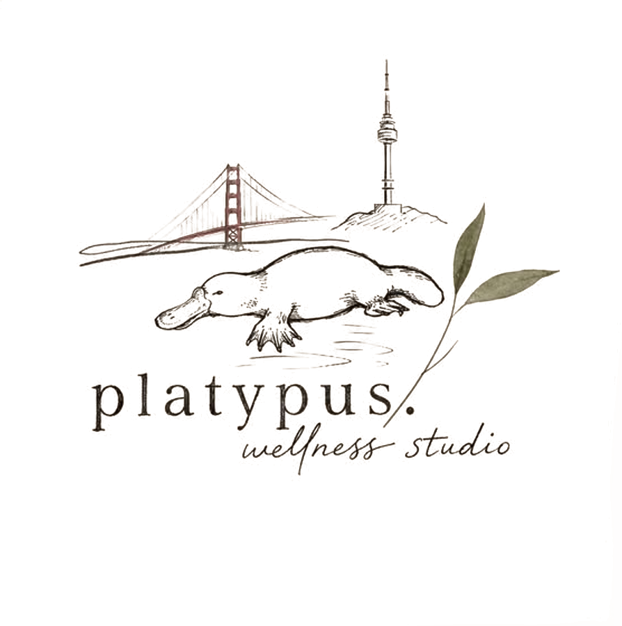 The platypus wellness studio hand-drawn logo