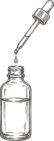 Hand-drawn sketch for the nourish step